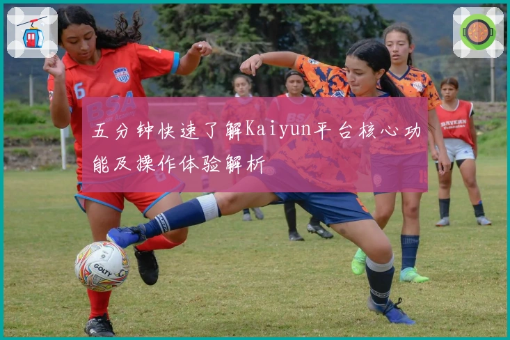 五分钟快速了解Kaiyun平台核心功能及操作体验解析