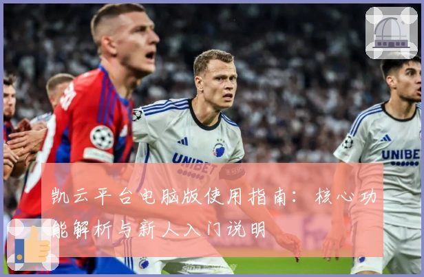 凯云平台电脑版使用指南：核心功能解析与新人入门说明