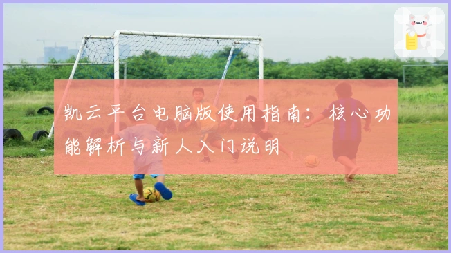 凯云平台电脑版使用指南:核心功能解析与新人入门说明